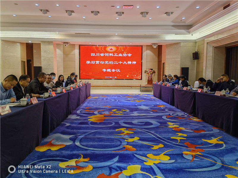 d51e6764ad5f0b54942e2cca7b6c32a_副本1.jpg