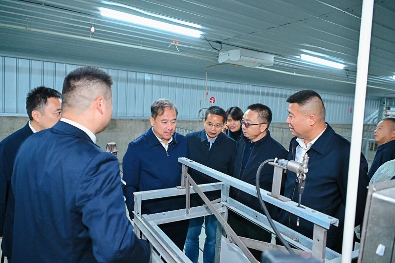 微信图片_2025-12-02_110113_866.jpg 微信图片_2025-12-02_110113_866.jpg